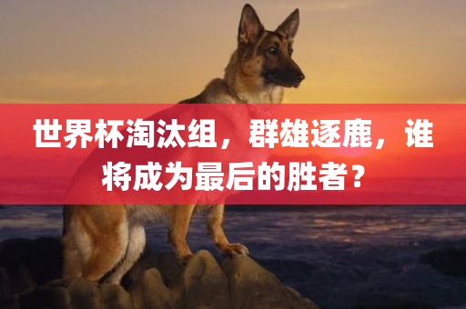 世界杯淘汰组，群雄逐鹿，谁将成为最后的胜者？