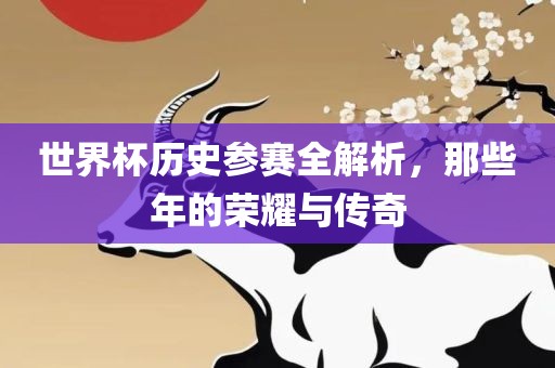 世界杯历史参金炬实业股份有限公司赛全解析，那些年的荣耀与传奇