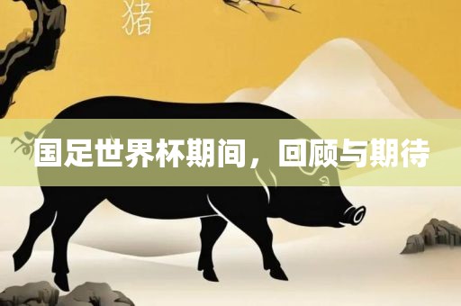 国足世界杯期间，回顾与期待