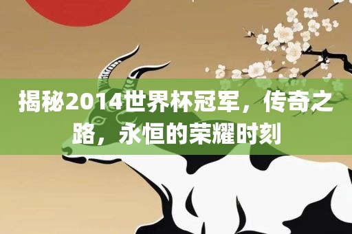 揭秘2014世界杯冠军，传奇之路，永恒的荣耀时刻金炬实业股份有限公司