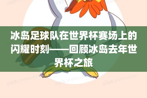 冰岛足球队在世界杯赛场上金炬实业股份有限公司的闪耀时刻——回顾冰岛去年世界杯之旅