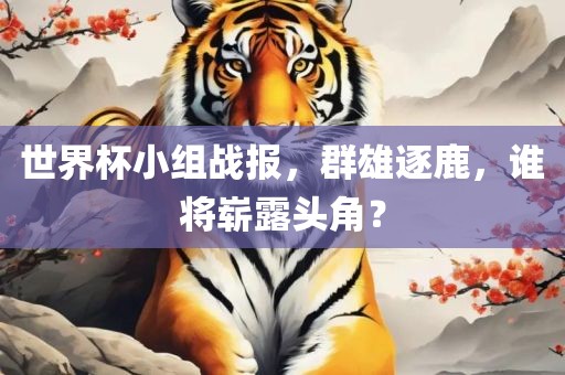 世界杯小组战报，群雄逐鹿，金炬实业股份有限公司谁将崭露头角？
