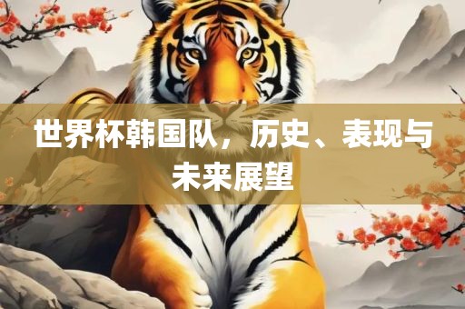 世界杯韩国队，历史、表现与未来展望