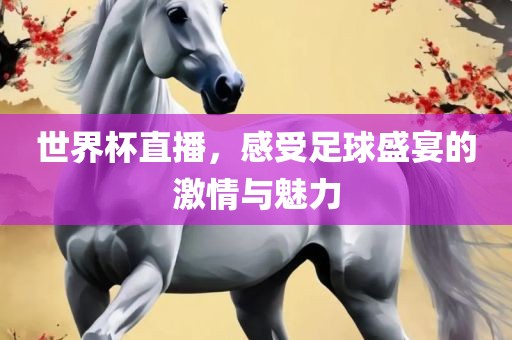 世界杯直播，感受足球盛宴的激情与魅力金炬实业股份有限公司