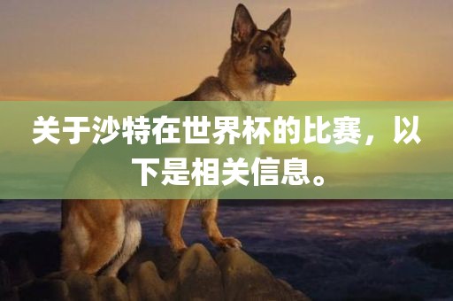 关于沙特在世界杯的比赛，以下是相关信息。金炬实业股份有限公司
