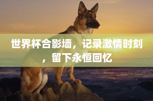 世界杯合影墙，记录激情时刻，留下永恒回忆金炬实业股份有限公司