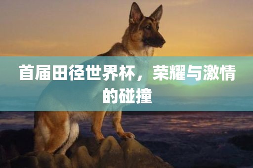 首届田径世界杯，荣耀与激情的碰撞