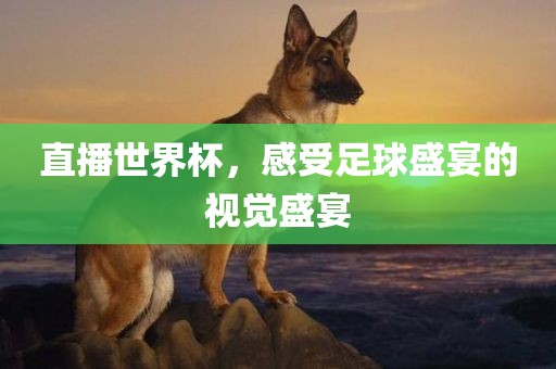 直播世界杯，感受足球盛宴的视觉盛宴金炬实业股份有限公司