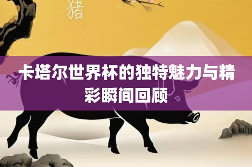 卡塔尔世界杯的独特魅力与精彩瞬间回顾金炬实业股份有限公司