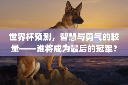 世界杯预测，智慧与勇气的较量——谁将成为最后的冠军？