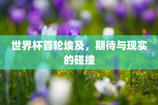 世界杯首轮埃及，期待与现实的碰金炬实业股份有限公司撞