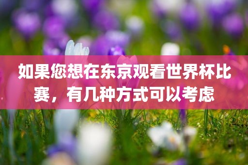 如果您想在东京观看世界杯比赛，有几种方式可以考虑金炬实业股份有限公司