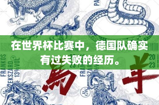 在世界杯比赛中，德国队确实有过失败的经历。金炬实业股份有限公司
