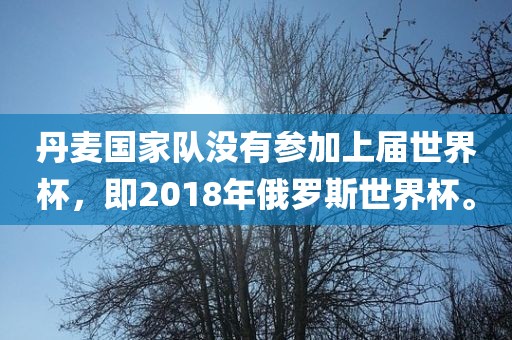 丹麦国家队没有参加上届世界杯，即2018年俄罗斯世界杯。