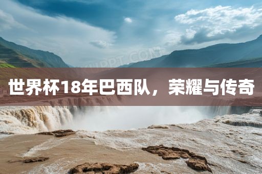世界杯18年巴西队，荣耀与传奇金炬实业股份有限公司