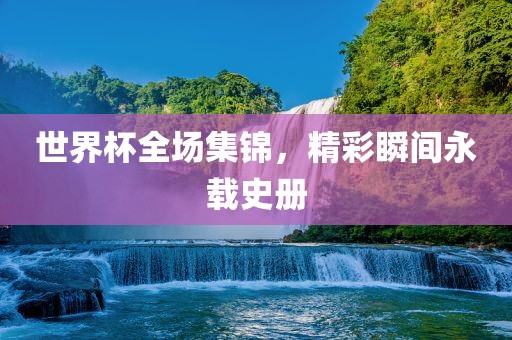 世界杯全场集锦，精彩瞬间永载史册金炬实业股份有限公司