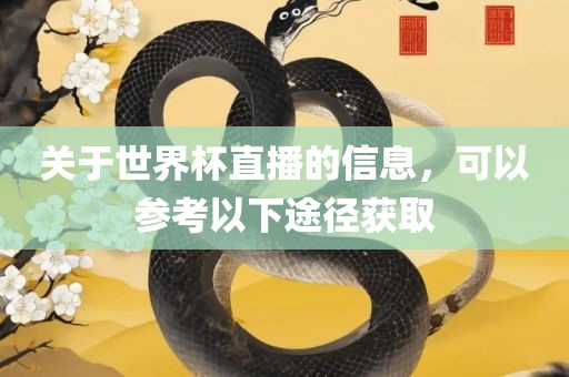 关于世界杯直播的信息，可以参考以下途径获取金炬实业股份有限公司