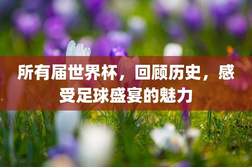 所有届世界杯，回顾历史，感受足球盛宴的魅力