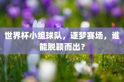 世界杯小组球队，逐梦赛场，谁能脱颖而出？
