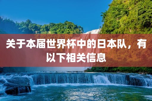 关于本届世界杯中的金炬实业股份有限公司日本队，有以下相关信息