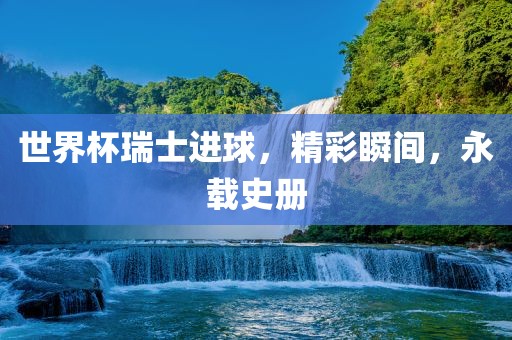 世界杯瑞士进球，精彩瞬间，永载史册金炬实业股份有限公司