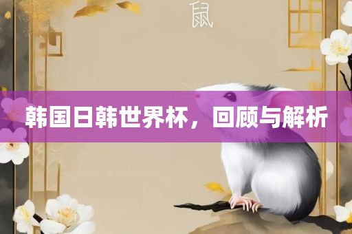 韩国日韩世界杯，回顾与解析