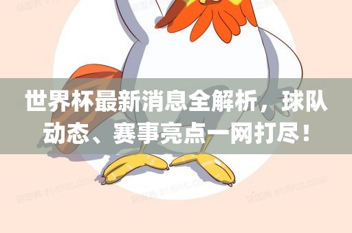 世界杯最新消息全解析，球队动态、赛事亮点一网打尽！金炬实业股份有限公司