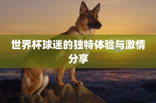 世界杯球迷的独特体验与激情分享