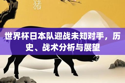 世界杯日本队迎战未知对手，历史、战术分析与展望