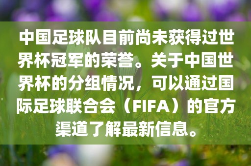 中国足球队目前尚未获得过世界杯冠军的荣誉。关于中国世界杯的分组情况，可以通过国际足球联合会（FIFA）的官方渠道了解最新信息。