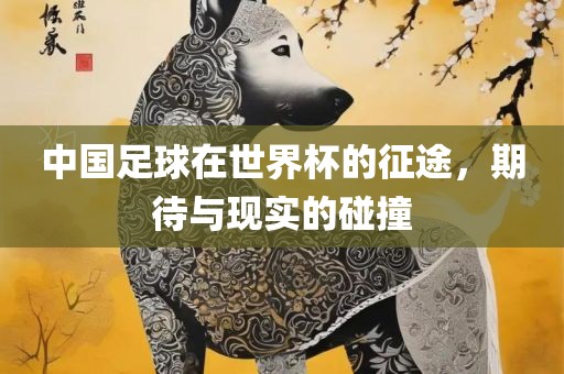 中国足球在世界杯的征途，期待与现实的碰撞金炬实业股份有限公司