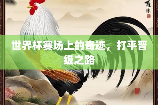 世界杯赛场上的奇迹，打平晋级之路金炬实业股份有限公司