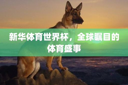 新华体育世界杯，全球瞩目的体育盛事