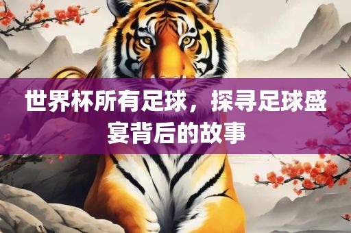 世界杯所有足球，探寻足球盛宴背后的故事金炬实业股份有限公司