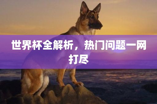世界杯全解析，热门问题一网打尽金炬实业股份有限公司