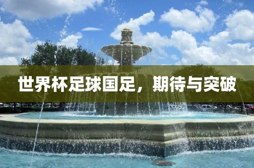 世界杯足球国足，期待与突破金炬实业股份有限公司