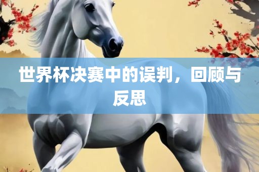 世界杯决赛中的误判，回顾与反思