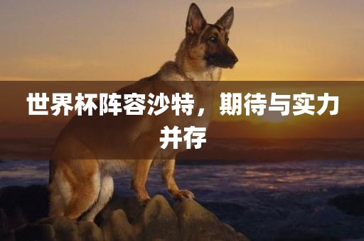 世界杯阵容沙特，期待与实力并存