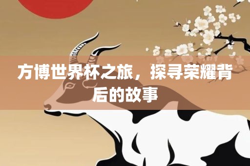 方博世界杯之旅，探寻荣耀背后的故事