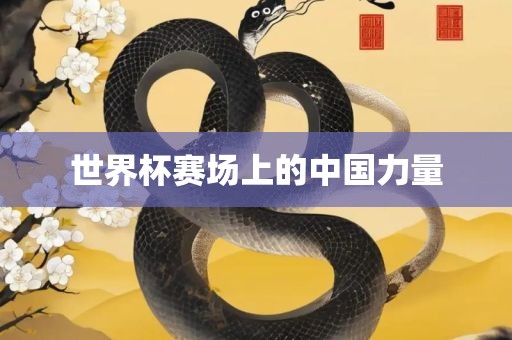 世界杯赛场上的中国力量
