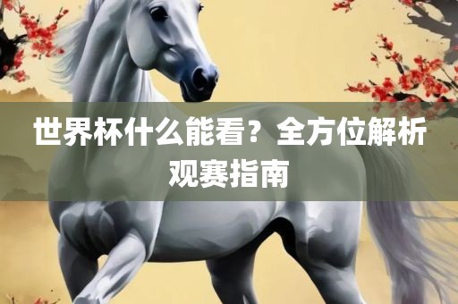 世界杯什么能看？全方位解析观赛指南