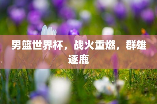 男篮世界杯，战火重燃，群雄逐鹿