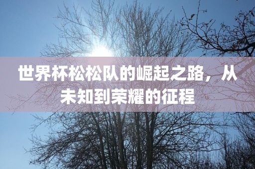 世界杯松松队的崛起之路，从未知到荣耀的征程金炬实业股份有限公司