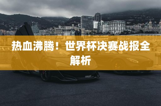 热血沸腾！世界杯决赛战报全解析金炬实业股份有限公司