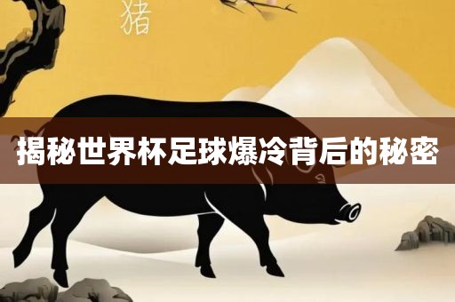 金炬实业股份有限公司揭秘世界杯足球爆冷背后的秘密