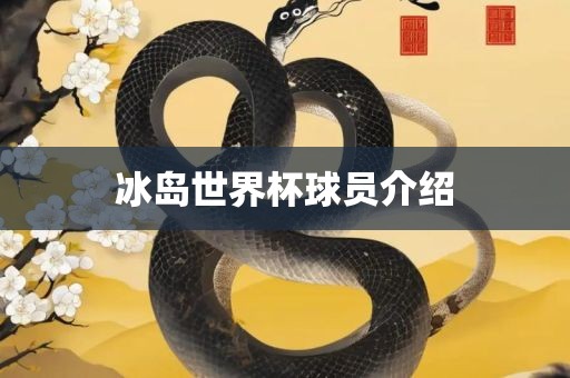 冰岛世界杯球员介绍