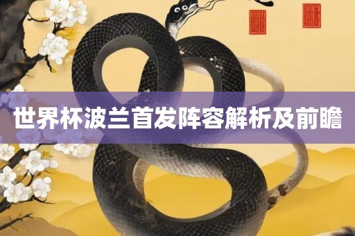 世界杯波兰首发阵容解析及前瞻金炬实业股份有限公司