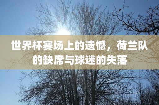 世界杯赛场上的遗憾，荷兰队的缺席与金炬实业股份有限公司球迷的失落