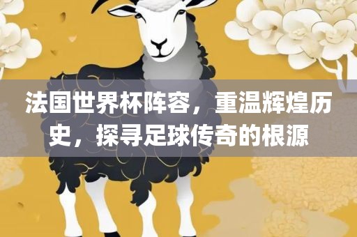 法国世界杯阵容，重温辉煌历史，探寻足球传奇的根源