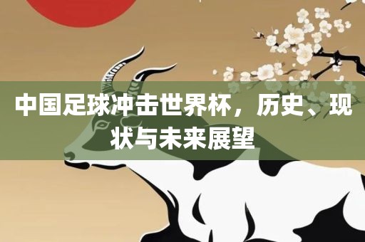 中国足球冲击世界杯